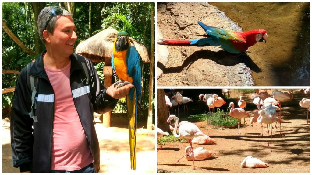 Parque das Aves de Foz do Iguaçu