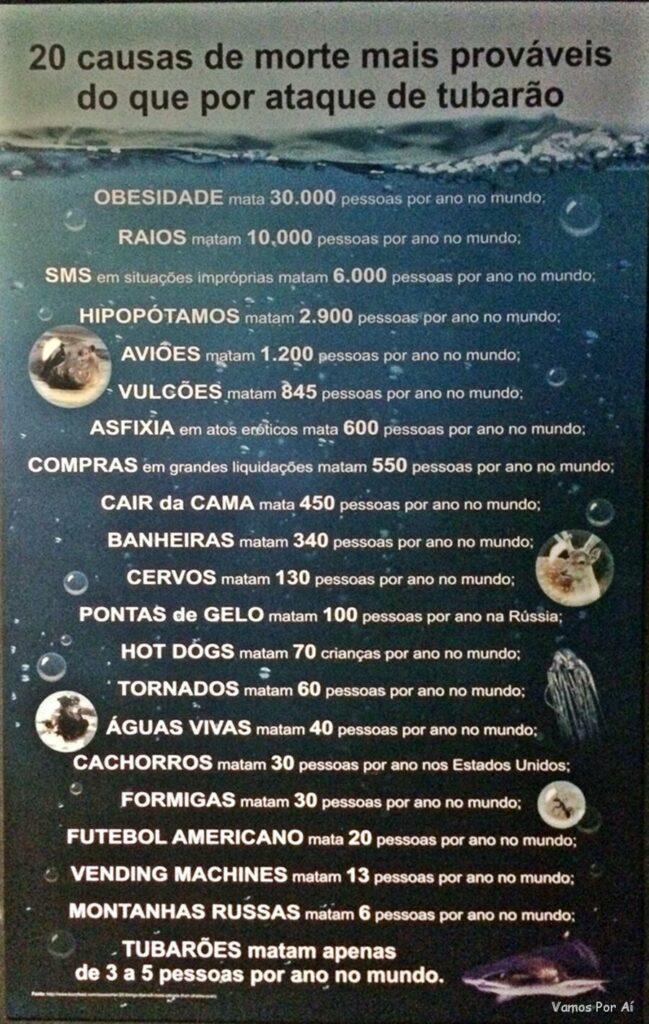 Aquário do Rio de Janeiro O que fazer no Rio com crianças