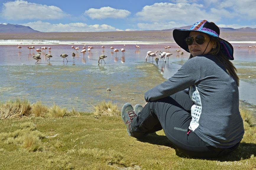 Laguna Colorada: Passeio de 1 dia Partindo de San Pedro do Atacama