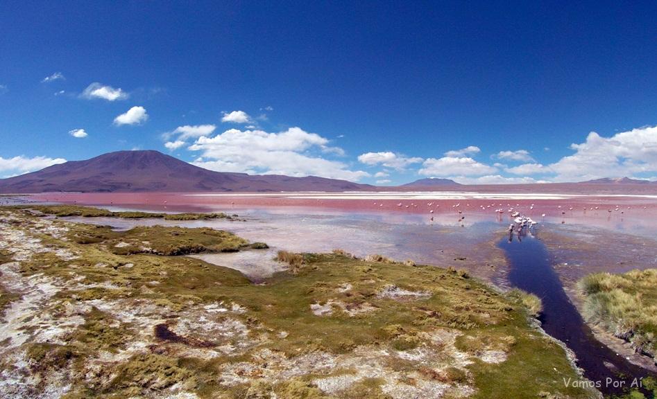 como chegar a Laguna Colorada na Bolivia
