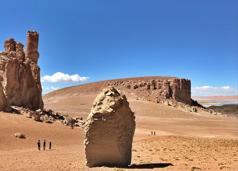 Salar de Tara no Deserto do Atacama, passeios imperdíveis no atacama