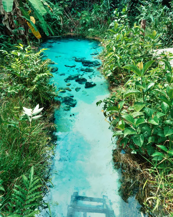 FFervedouro Bela Vista no Jalapão, Tocantins — nascente de água cristalina cercada por vegetação, ideal para quem busca lugares com pouca chuva em setembro