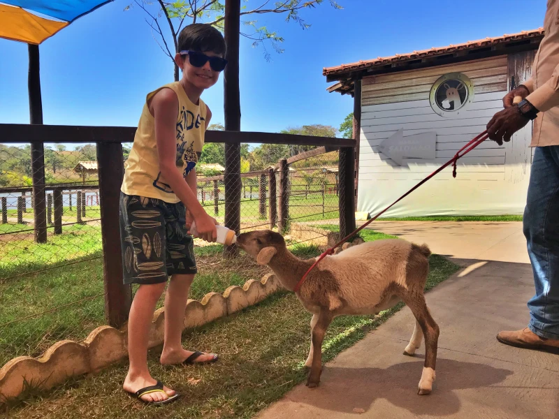 Fazendinha do Arca Parque em Trindade GO