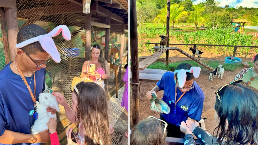 Coelho e cabrito na área rural do Arca Parque GO, crianças interagindo com animais no Arca Parque
