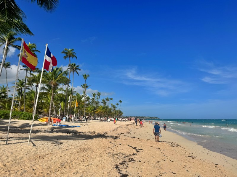 Praia de Bávaro, em Punta Cana, com mar azul-turquesa, coqueiros e a bandeira do país, cenário clássico de viajar para a República Dominicana.